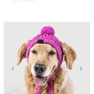 Pink PomPom Canada Pooch Hat
